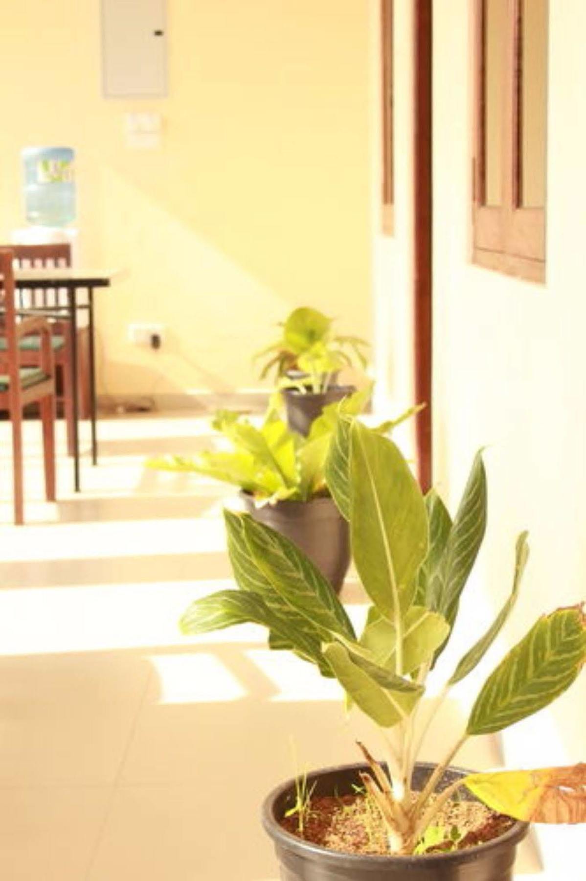 Pearl City Hotel Tissamaharama Dış mekan fotoğraf